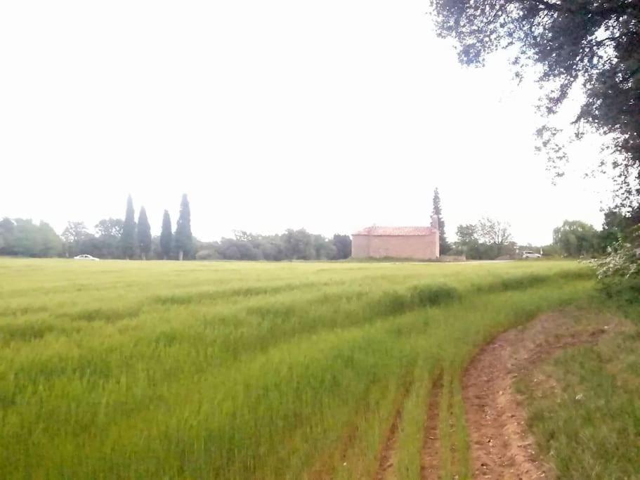 El Niuet De Cal Cacuet, La Teva Escapada Rural. Apartman Aviá Kültér fotó