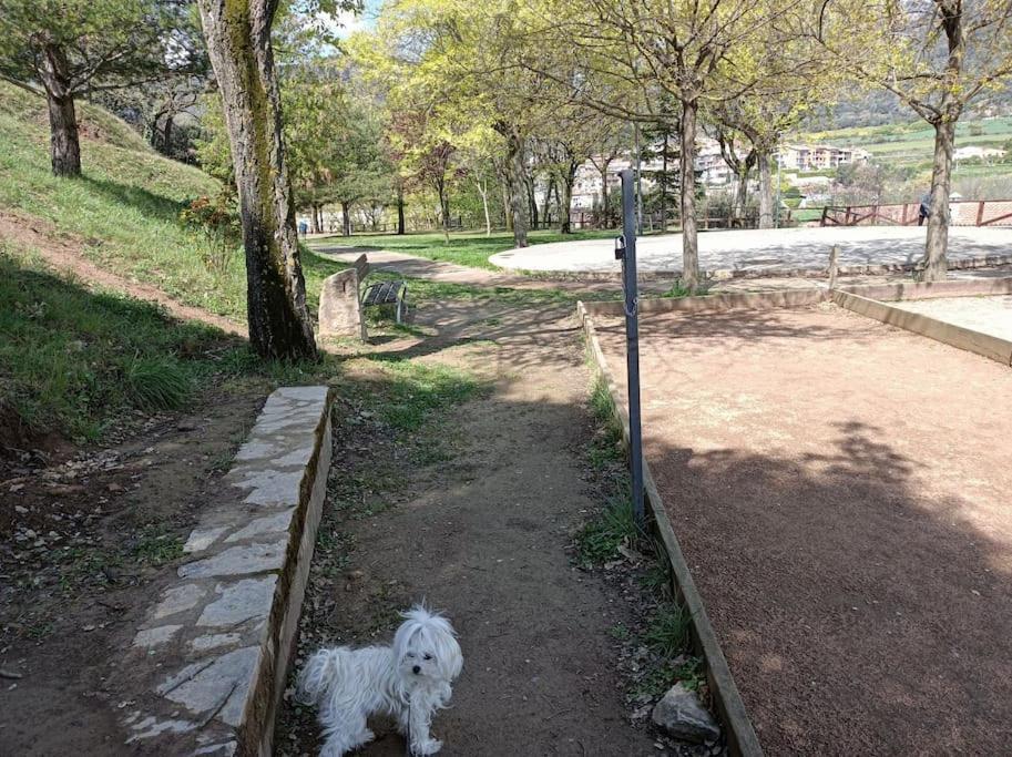 El Niuet De Cal Cacuet, La Teva Escapada Rural. Apartman Aviá Kültér fotó